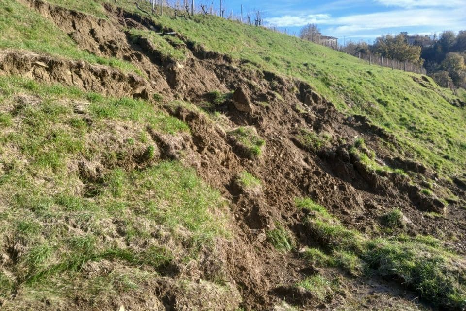 Conto corrente per le cantine del Collio dopo la calamità (fotogallery)