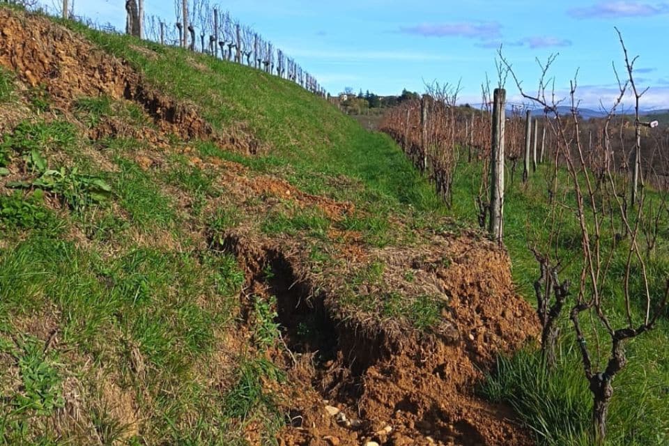 Conto corrente per le cantine del Collio dopo la calamità (fotogallery)