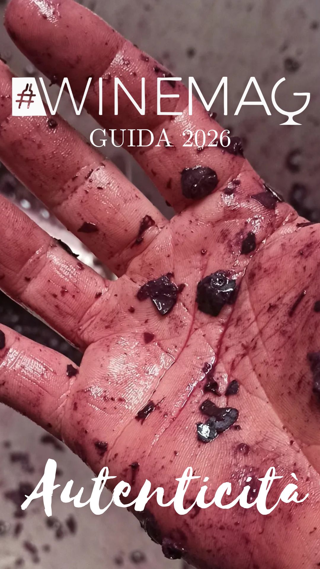 guida winemag 2026