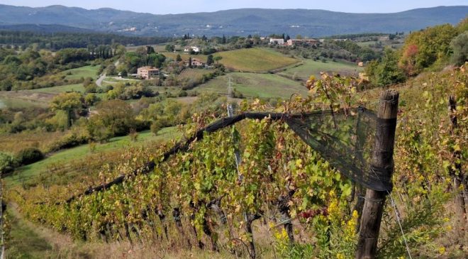 Il Chianti cambia strategia: via la "Gran Selezione", arriva il Rosé DOCG