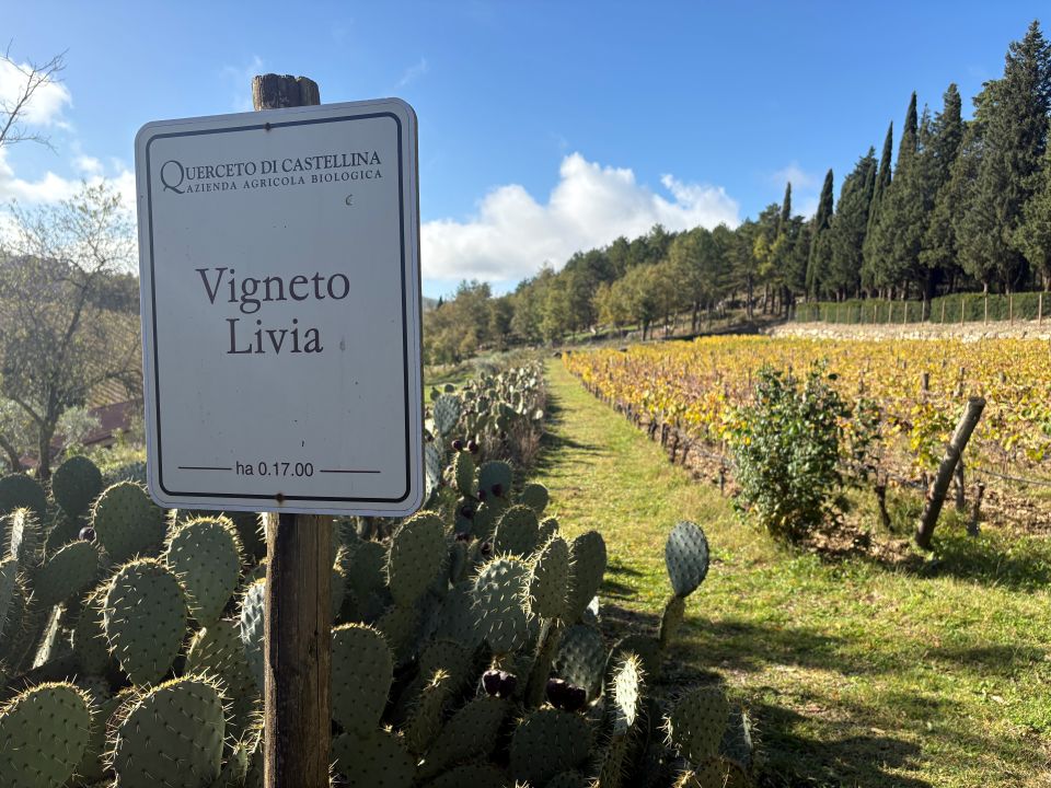 Querceto di Castellina una verticale di Chianti Classico L’Aura per celebrare gli 80 anni di storia (1) Querceto di Castellina una verticale di Chianti Classico L’Aura per celebrare gli 80 anni di storia (1)