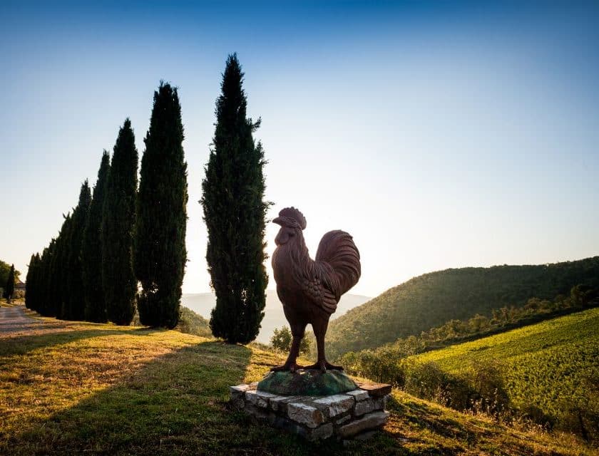 Querceto di Castellina: 80 anni con L’Aura in bocca