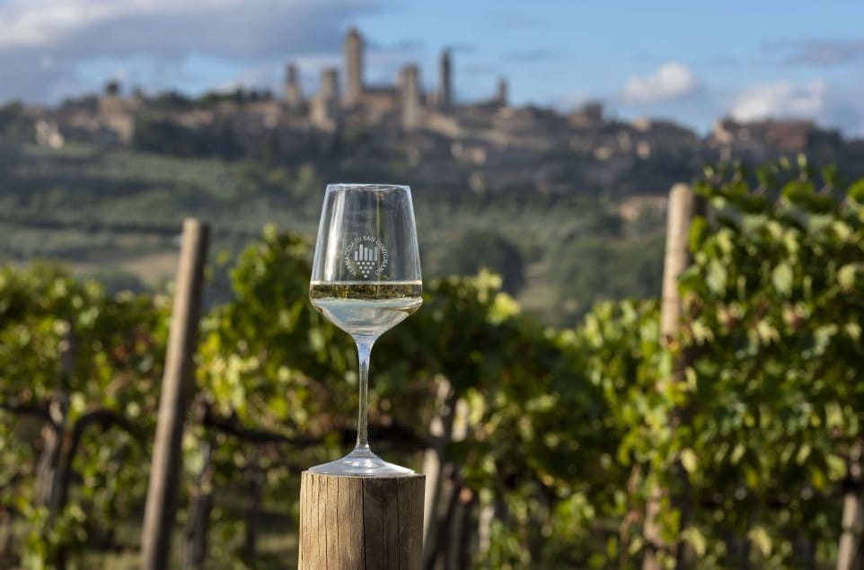 Vernaccia di San Gimignano: in Argentina cancellato il marchio “San Gimignano”