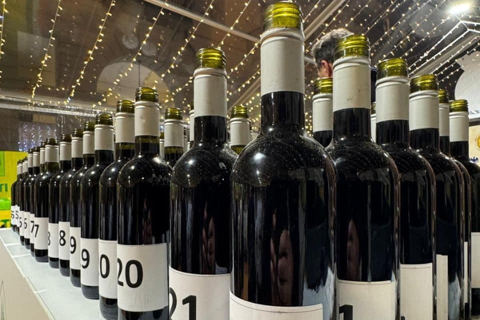 Anteprima Barbera 2025: come saranno Asti e Nizza Doc. Lo svela Coldiretti Asti Anteprima Barbera 2025 come saranno Asti e Nizza Docg