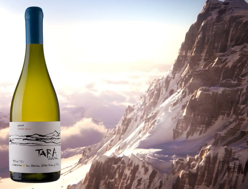 Tara White Wine 3 2022 Sauvignon Blanc nel deserto di Atacama Ventisquero Wine Estates