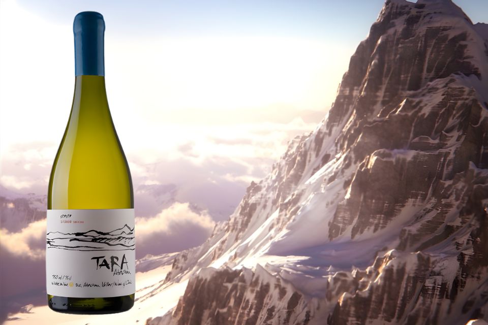 Tara White Wine 3 2022 Sauvignon Blanc nel deserto di Atacama Ventisquero Wine Estates