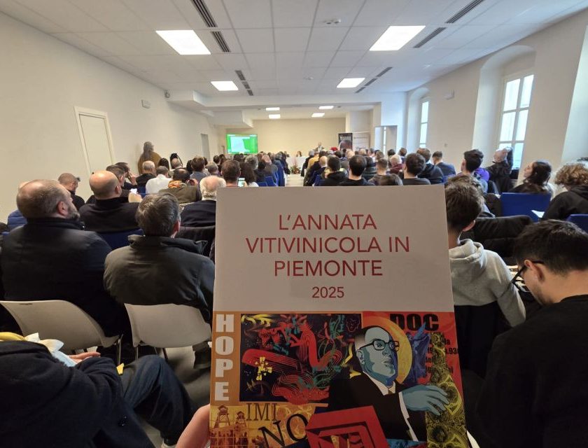 Vendemmia 2025 in Piemonte: produzione in calo, qualità alta e nuove sfide sui mercati