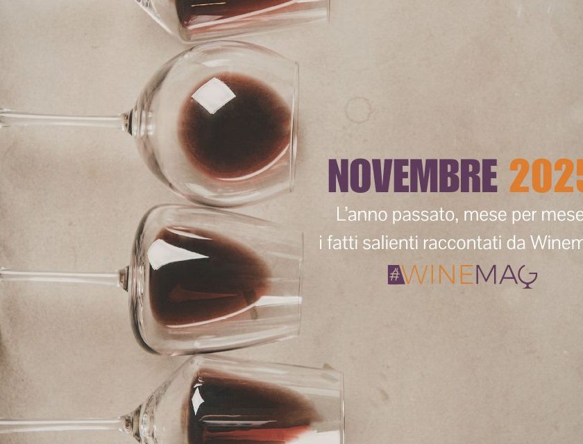 novembre 2025 del vino italiano e internazionale. Il racconto anno appena trascorso tra le wine news italiane ed estere di Winemag .it