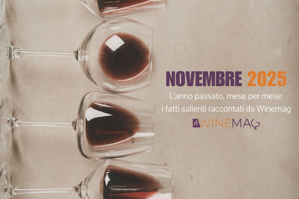 novembre 2025 del vino italiano e internazionale. Il racconto anno appena trascorso tra le wine news italiane ed estere di Winemag .it