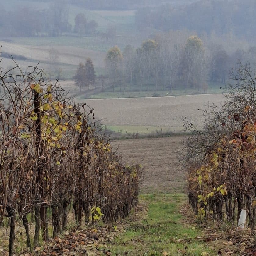 Asti e il Monferrato identità territoriale, sostenibilità e sfida generazionale (5)