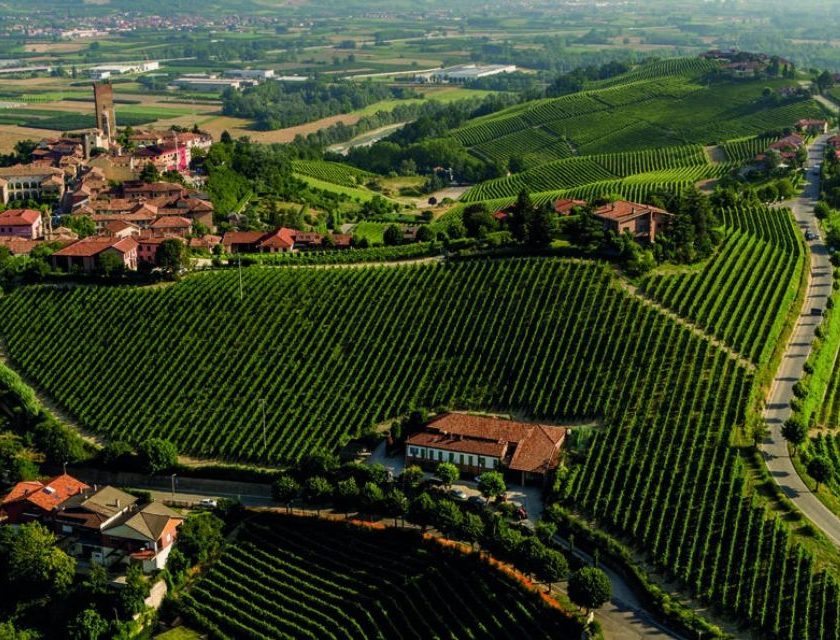 Darmagi, la sfida di Angelo Gaja con il Cabernet Sauvignon a Barbaresco (1)