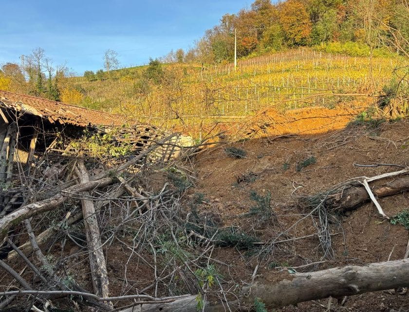 Ruspe sul Ronco della Chiesa, vigneto-monumento del Collio Friulano di cantina Borgo del Tiglio Disperazione del vignaiolo Nicola Manferrari (16)