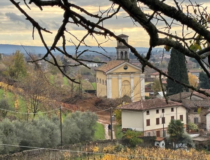 Collio unito in difesa del vigneto Ronco della Chiesa di Borgo del Tiglio Ruspe sul Ronco della Chiesa, vigneto-monumento del Collio Friulano di cantina Borgo del Tiglio Disperazione del vignaiolo Nicola Manferrari