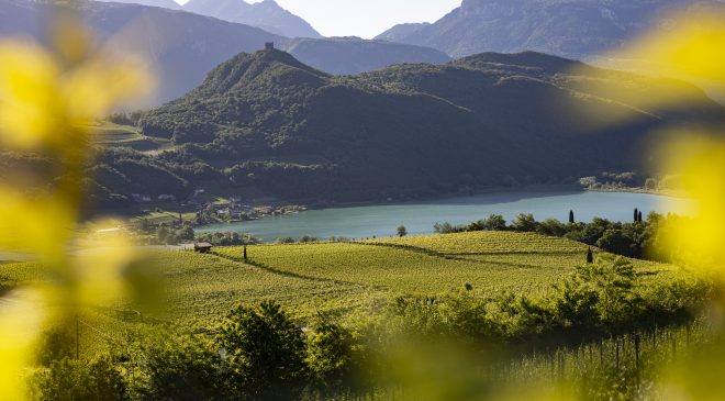 Anteprima Kalterersee beva e longevità della Schiava di Caldaro (6)