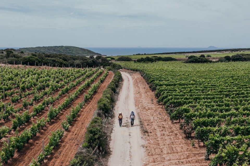 Cammini del Vino a Milano confronto nazionale sull'enoturismo a piedi Cammino Minerario di Santa Barbara e organizzata dai Sentieri del Carignano