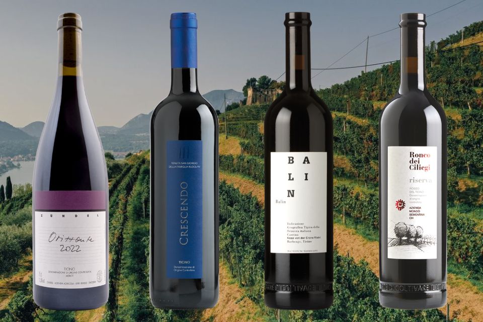 Dodas dodici cantine del Canton Ticino unite per il Merlot ticinese (2)