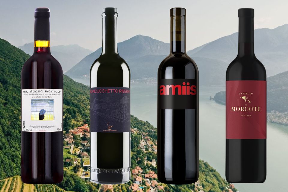 Dodas dodici cantine del Canton Ticino unite per il Merlot ticinese (3)