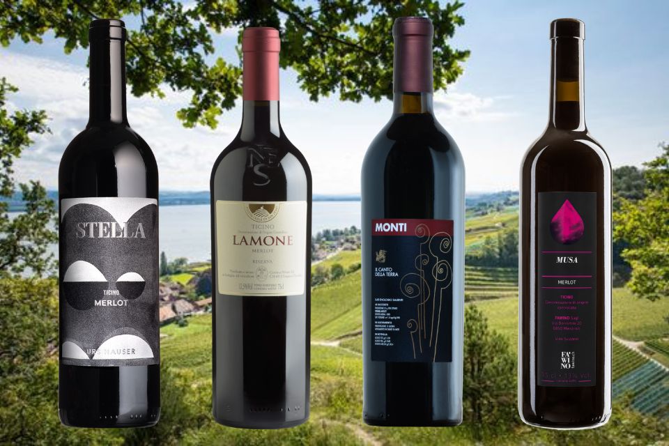 Dodas dodici cantine del Canton Ticino unite per il Merlot ticinese (4)
