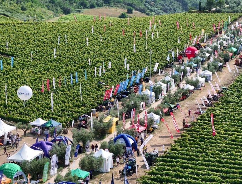 Enovitis in campo 20° edizione appuntamento il 17 e 18 giugno nel Chianti Classico