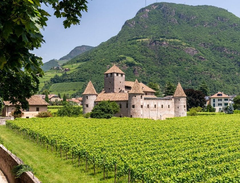 VINALTUM 2026 a Castel Mareccio il festival del vino sceglie Bolzano
