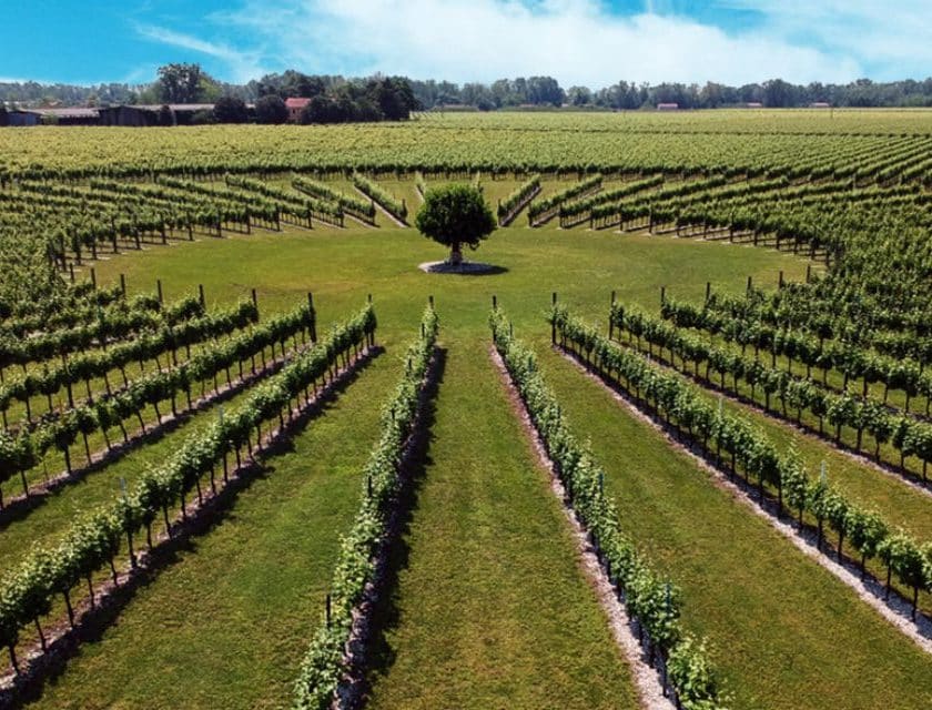 Valdo rileva I Magredi nell'anno del centenario acquisizione in Friuli