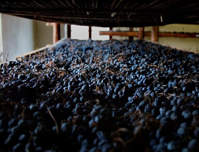 Valpolicella la “messa a riposo delle uve” candidata a patrimonio culturale Unesco