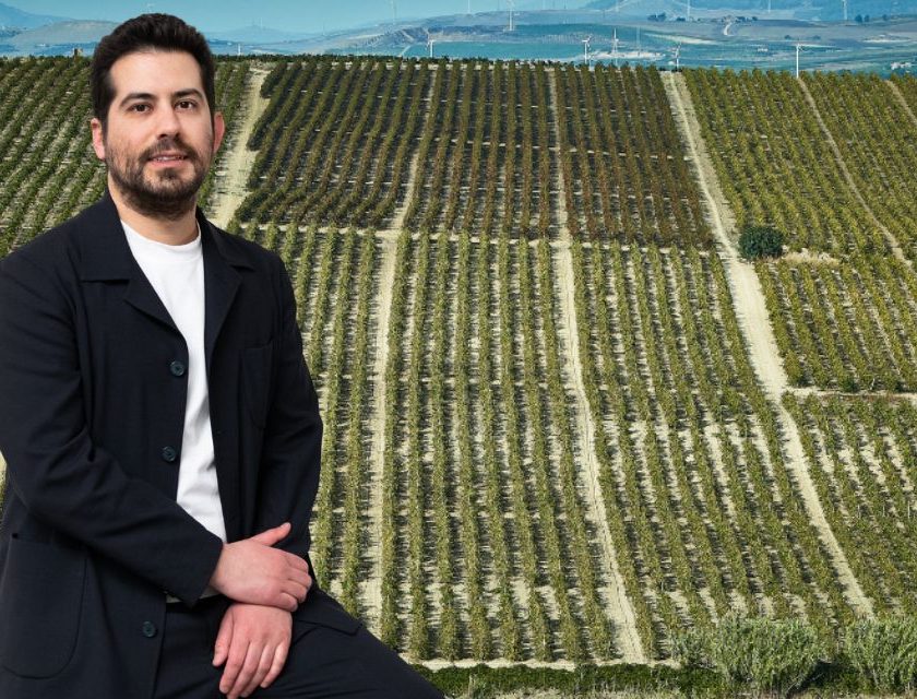 Veraison Group, fatta per Cantine Alcesti marsala e Vallebelbo moscato d asti. In gestione Conti Sertoli Salis valtellina