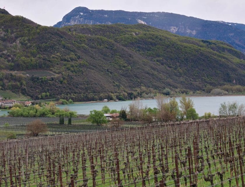 Migliori Schiava Alto Adige 2025 Kalterersee Lago di Caldaro Doc anteprima