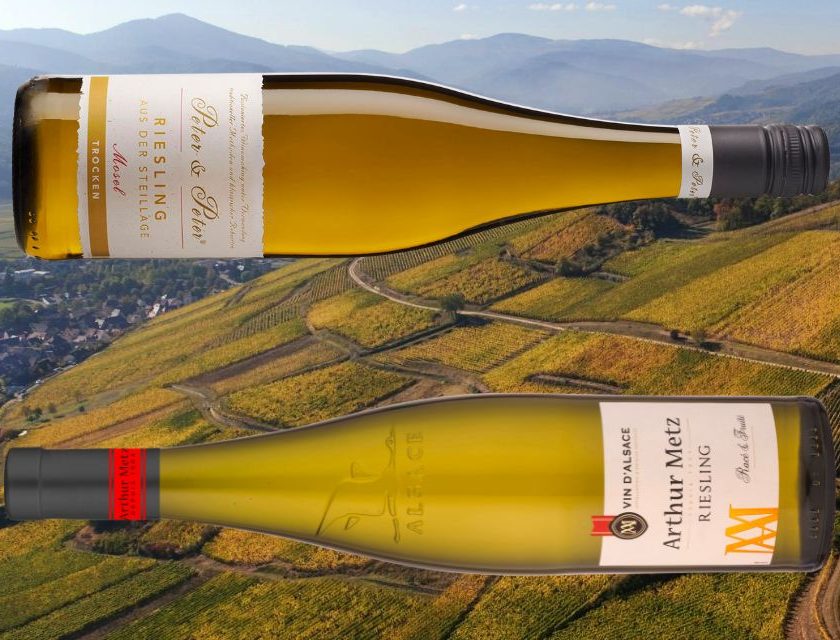 Riesling sotto 10 euro Alsazia-Mosella chi vince al supermercato