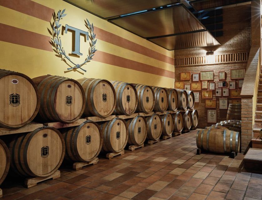 Tinazzi presenta il Bilancio di Sostenibilità 2025 investimenti in vigneto, riduzione dei consumi e impegno sociale