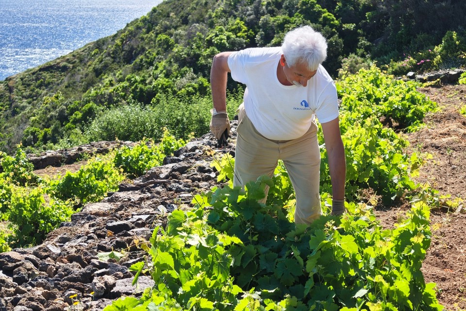 Ben Ryé Il Vino Passito di Pantelleria e i suoi nuovi abbinamenti due annate di Ben Ryé Donnafugata senza abbinarle al dolce passito di pantelleria 2013 2017 sicilia en primeur 2026 josè rallo (6)