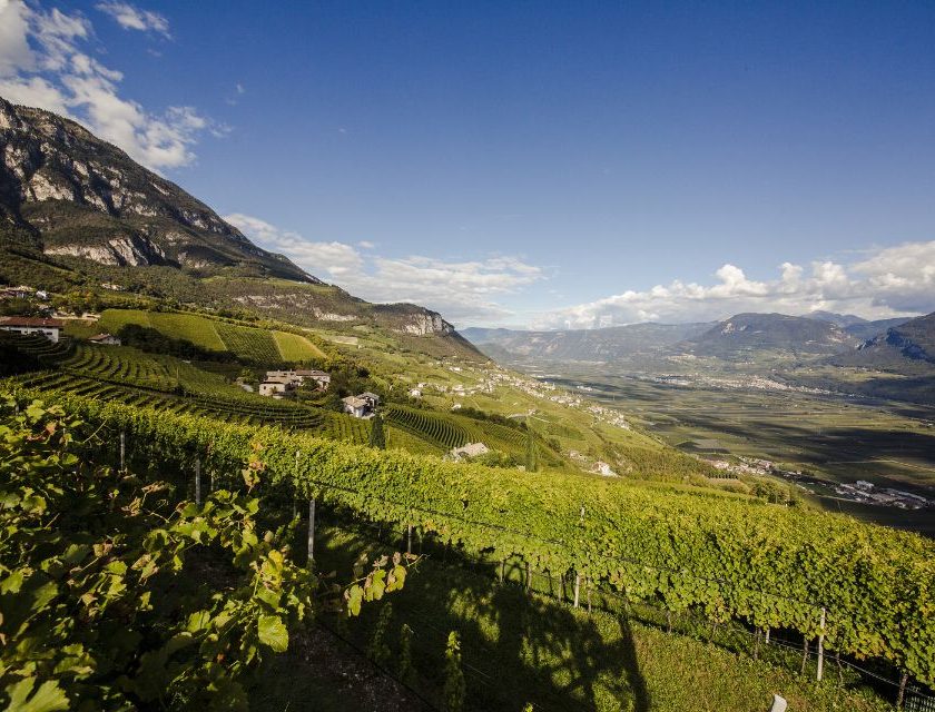 Cantina Kurtatsch e le UGA dell’Alto Adige 9 vini da 8 unità geografiche. Riposizionato il Gewürztraminer Riserva, da Brenntal a Frauenrigl