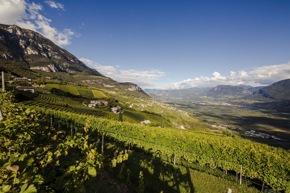 Cantina Kurtatsch e le UGA dell’Alto Adige 9 vini da 8 unità geografiche. Riposizionato il Gewürztraminer Riserva, da Brenntal a Frauenrigl