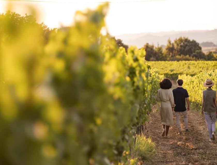 Cantine Aperte 2026 in Toscana focus su turismo rigenerativo e nuove esperienze