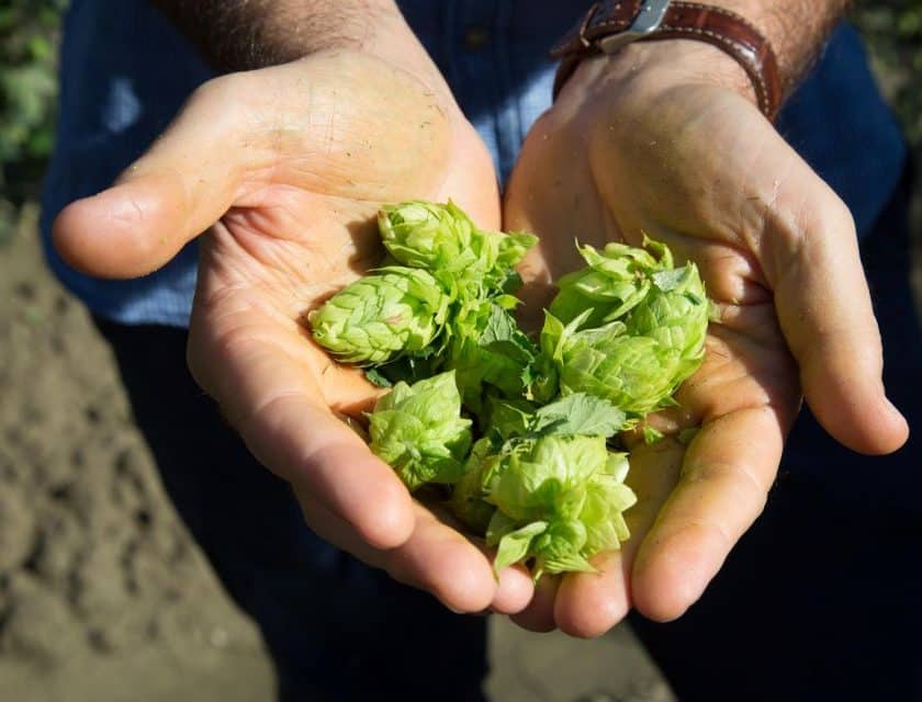 Carlsberg Italia presenta Brewing Tomorrow nuova strategia ESG verso il Net Zero entro il 2040