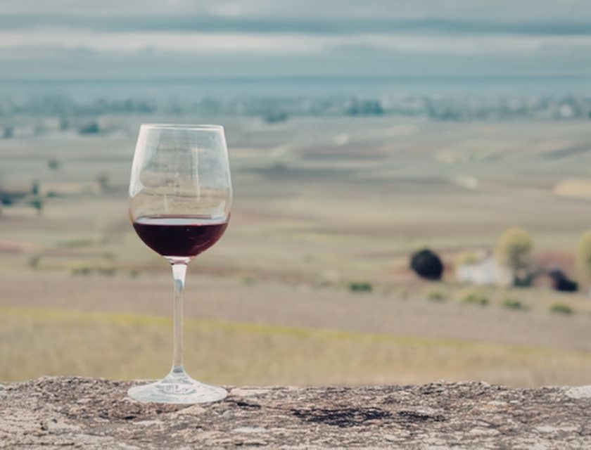 In Cina il 47° Congresso mondiale della vite e del vino OIV 2026, 24ª Assemblea generale Organizzazione internazionale della vigna e del vino