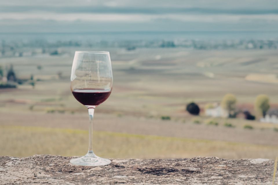 In Cina il 47° Congresso mondiale della vite e del vino OIV 2026, 24ª Assemblea generale Organizzazione internazionale della vigna e del vino
