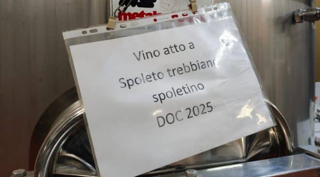 Migliori Spoleto Doc Trebbiano Spoletino A Montefalco 2026