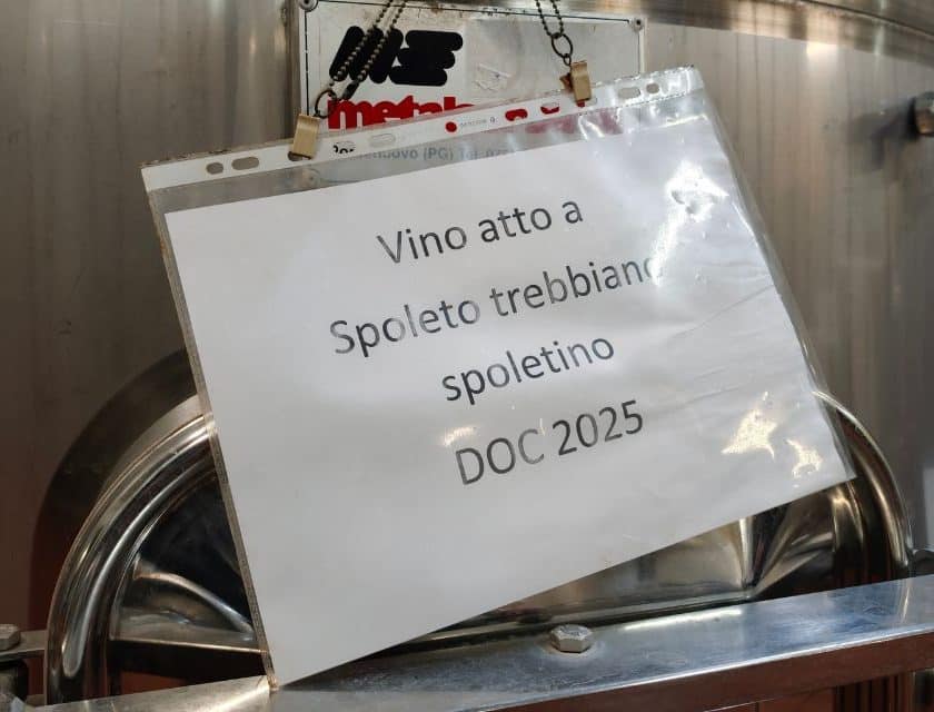 Migliori Spoleto Doc Trebbiano Spoletino A Montefalco 2026