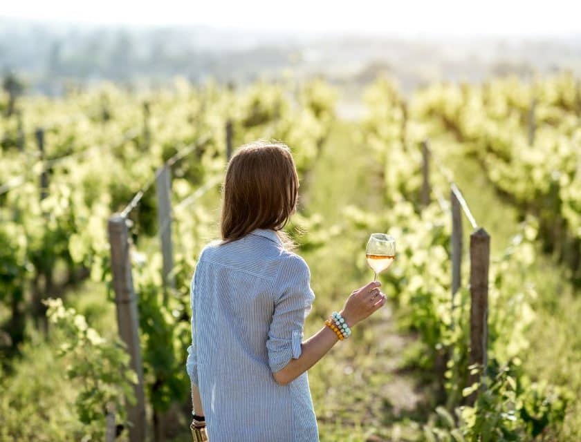 Record Concorso Vermentino 2026 in Gallura 371 campioni e 100 vini esteri mario bonamici intervista winemag davide bortone giudice concorso vermentino masaf 2026