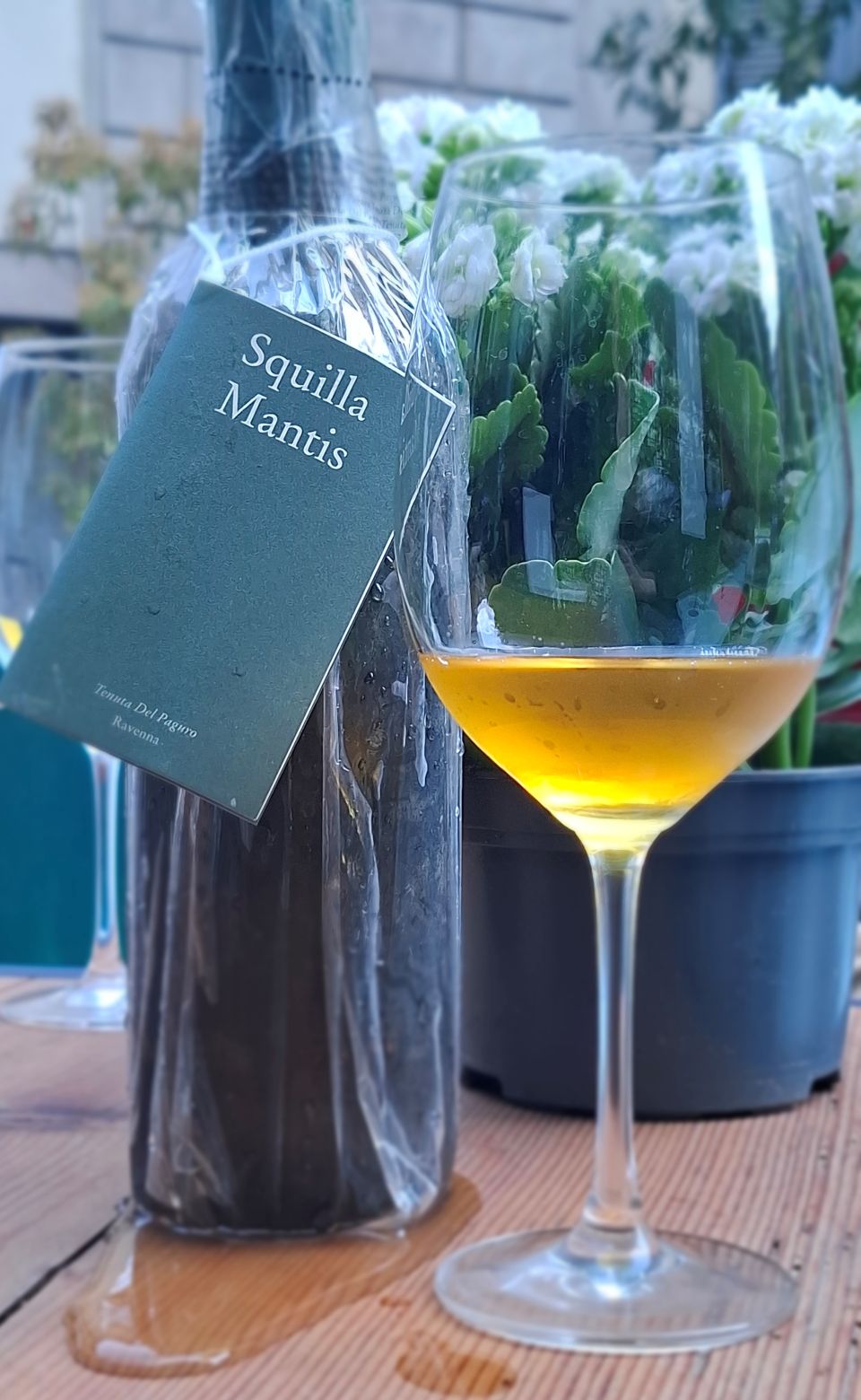 Tenuta del Paguro il vino affinato in mare al largo di Ravenna (2) Tenuta del Paguro il vino affinato in mare al largo di Ravenna