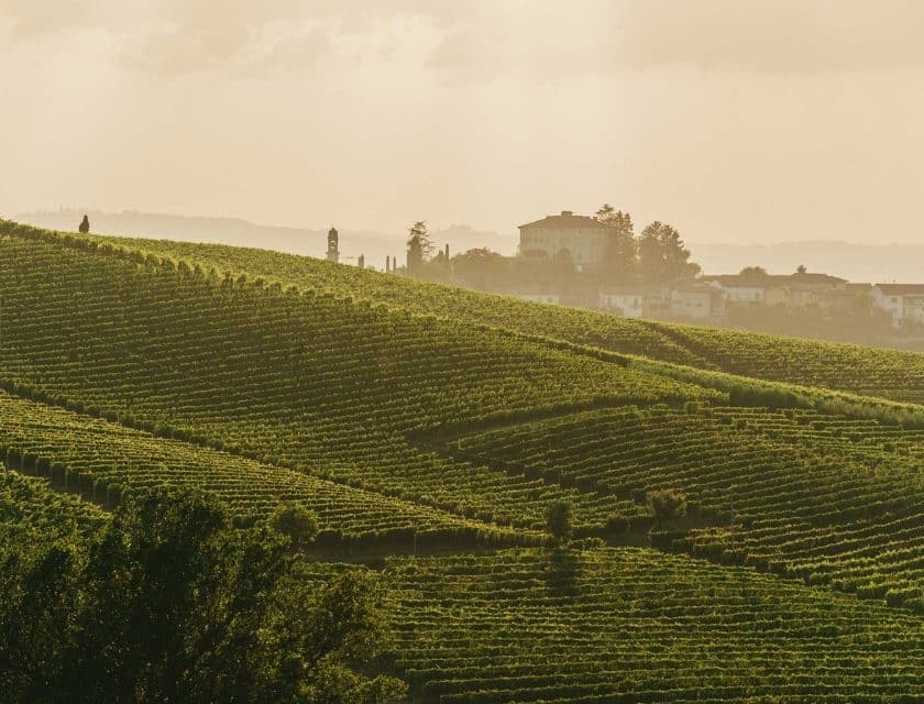 Asti Docg, proposta resa Moscato 85 quintali per ettaro e 15 di supero