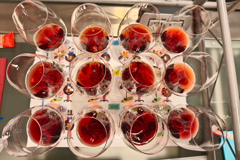 Barolo en primeur 2026 Vigna Gustava volto solidale ed elegante del Nebbiolo