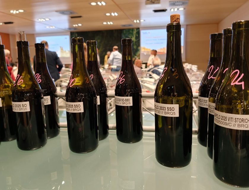 Barolo en primeur 2026 Vigna Gustava volto solidale ed elegante del Nebbiolo
