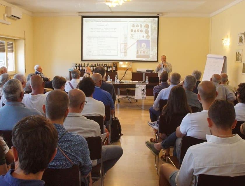 Bianco di Pitigliano DOC, 60 anni tra storia, identità e nuove prospettive per il territorio