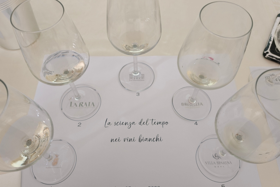 Luigi Moio a Gavi «La longevità del vino è identità, non semplice durata». E il professore invita a produrre Gavi Docg di pronta beva