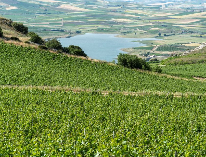 Serra Ferdinandea ottiene la certificazione Demeter vini e produzioni biodinamiche certificate nei Monti Sicani