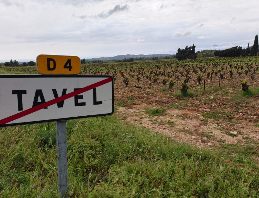 Tavel, il rosé carico al bivio in Francia vincerà la dittatura del rosé chiaro Produttori dubbiosi meglio rosa pallido, come in Provenza