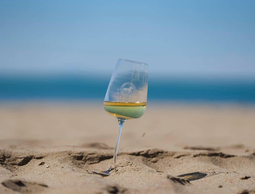 Vermentino DOC Maremma Toscana, 12 medaglie al Concorso Internazionale terza denominazione più premiata al mondo