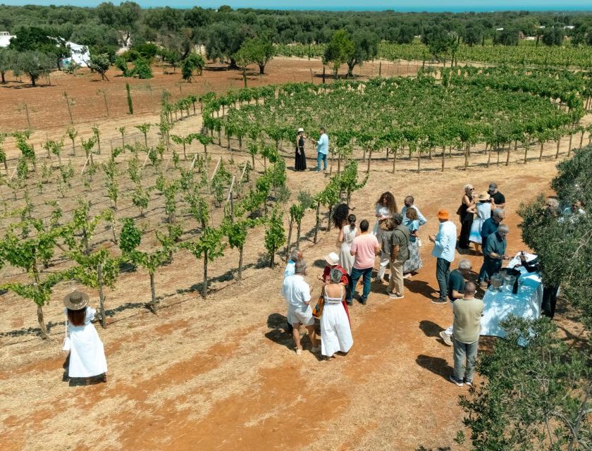 Villa Agreste inaugura la Vigna del Terzo Paradiso arte, biodiversità e vitigni storici nel progetto ispirato a Michelangelo Pistoletto